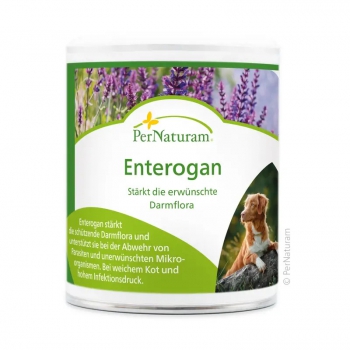 PerNaturam® Enterogan